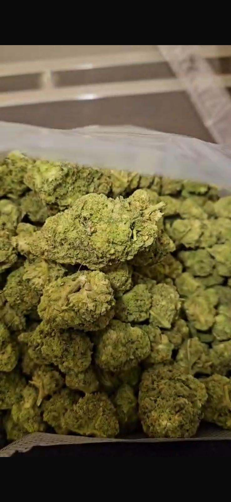 OFFERTISSIMA!! Tempo limitato