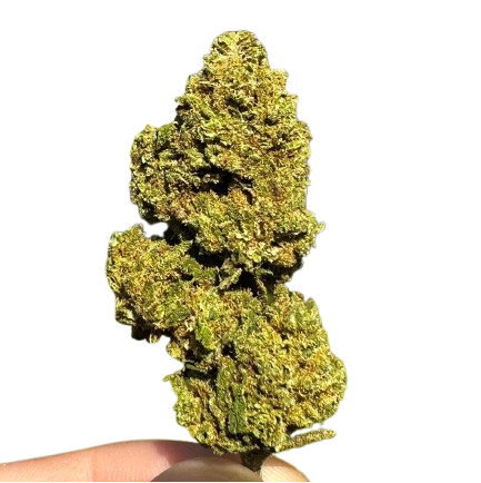 OFFERTA LAMPO !! - Flower formato scorta- BIG BUD