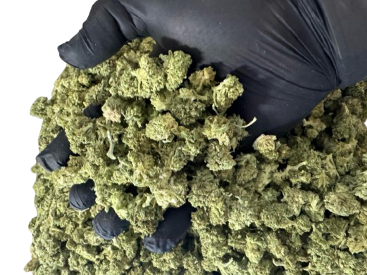 OFFERTA LAMPO -Flower SMALL BUD