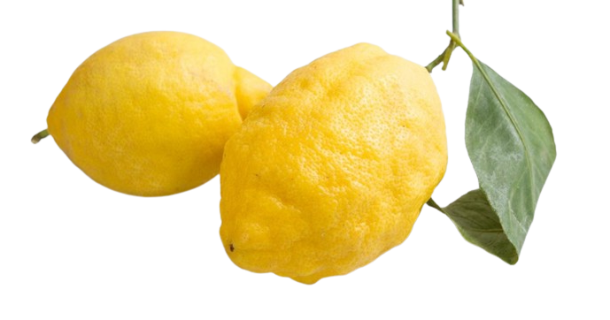 LIMONI BIO